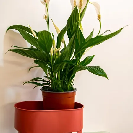 Baywiew 2bedroom Apartment Cascais